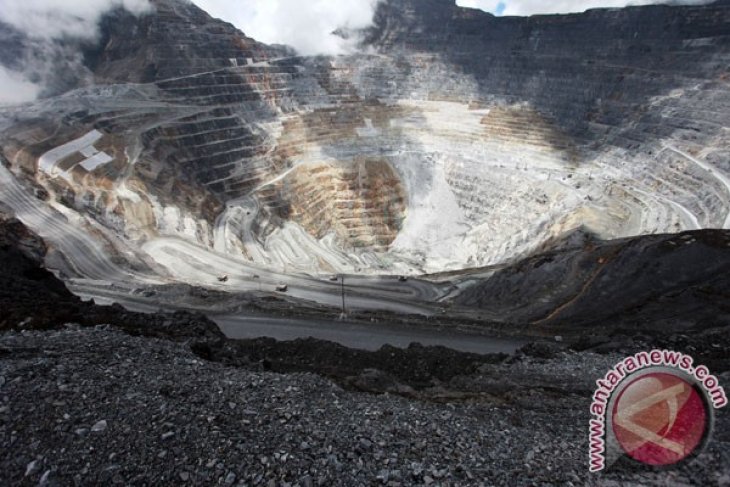 Process of Freeport divestment wrapped up: Minister Jonan