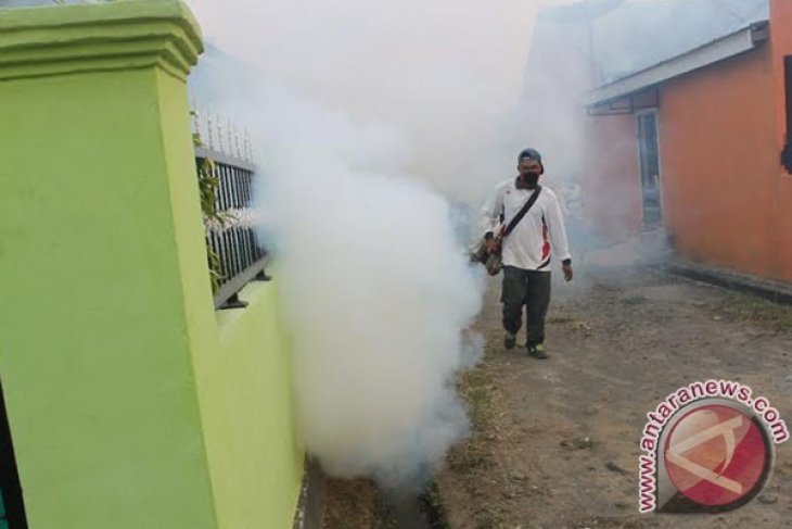 104 warga Rejang Lebong terserang DBD
