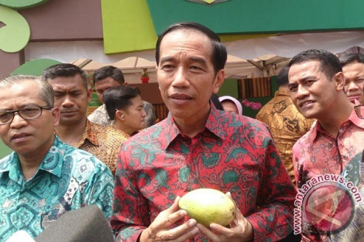 Presiden Minta Produksi Buah Nusantara Ditingkatkan