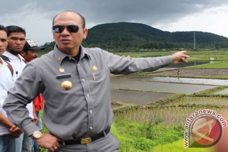 Taput Segera Bangun Embung Sawah Tadah Hujan