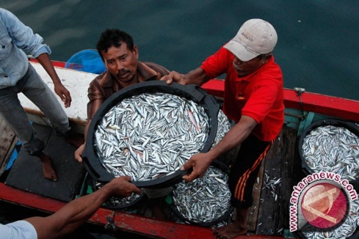 Dinkessos Akan Hentikan Bantuan Alat Tangkap Ikan