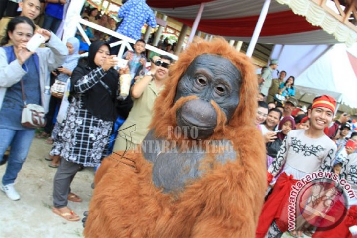 Karnaval Budaya Gerhana Matahari