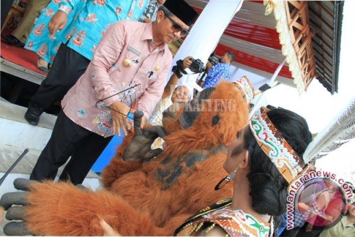 Karnaval Budaya Gerhana Matahari