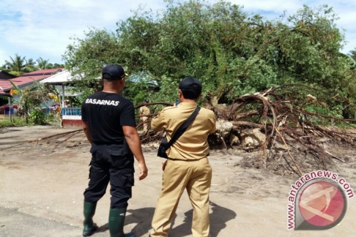 Puluhan Rumah di Ketapang Rusak Dihantam Angin Kencang