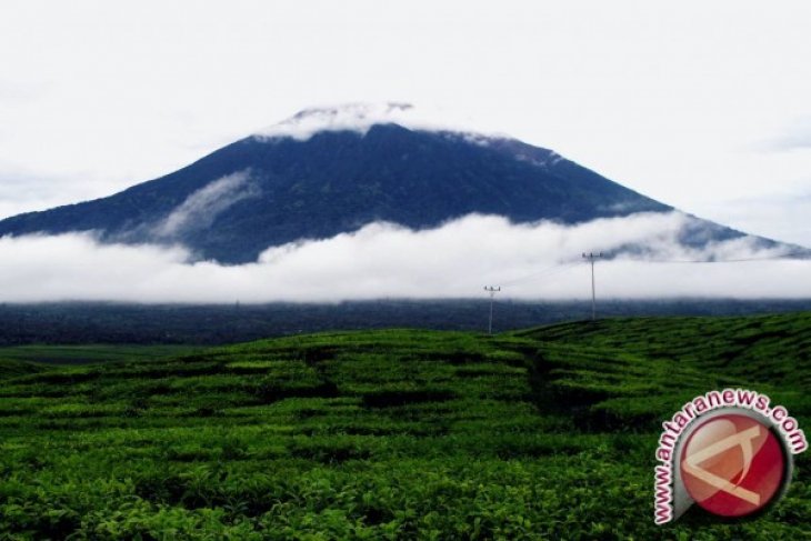 Pos: Erupsi marapi tidak pengaruhi Gunung Kerinci