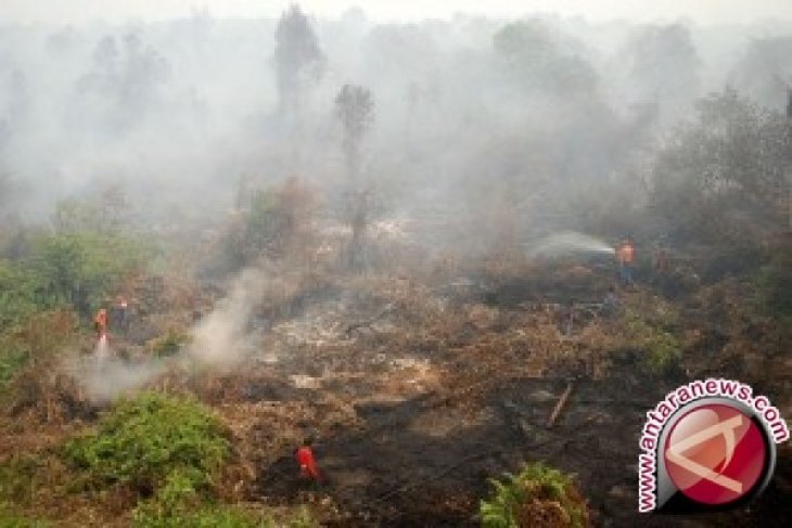 Cuaca buruk hambat pemadaman Karhutla di Pulau Enggano