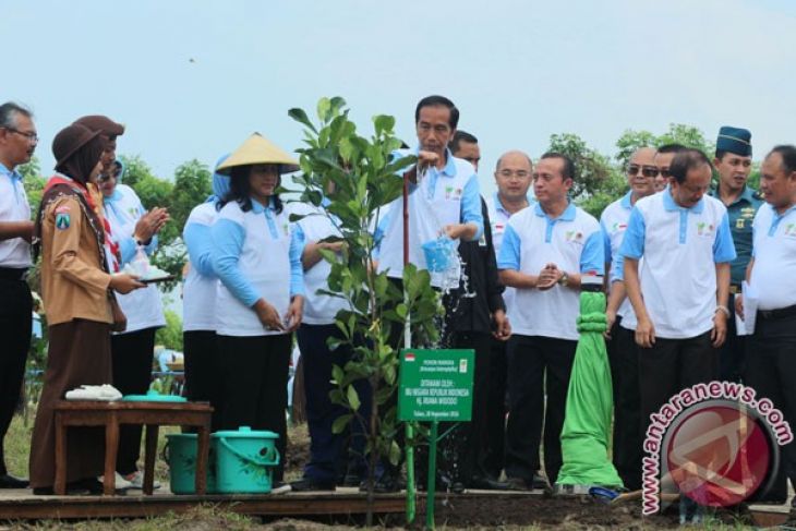 3.000 petani tanam 45.000 bibit pada Hari Menanam Pohon