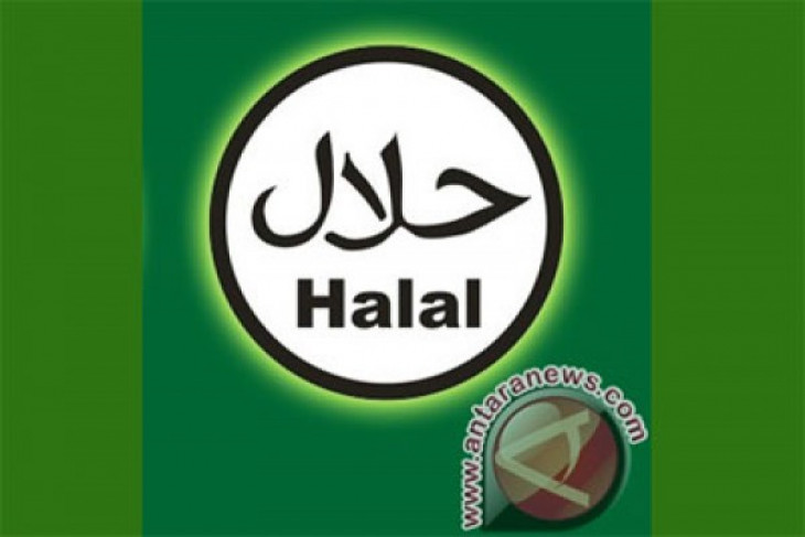 Kemristekdikti dorong akademisi lakukan penelitian di bidang halal