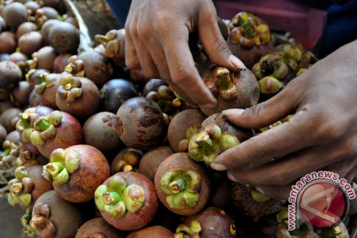 Superfood ini bakal jadi tren