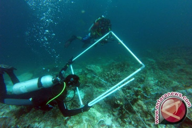 Masyarakat Adat Sedih Menyadari Kerusakan Terumbu Karang Raja Ampat