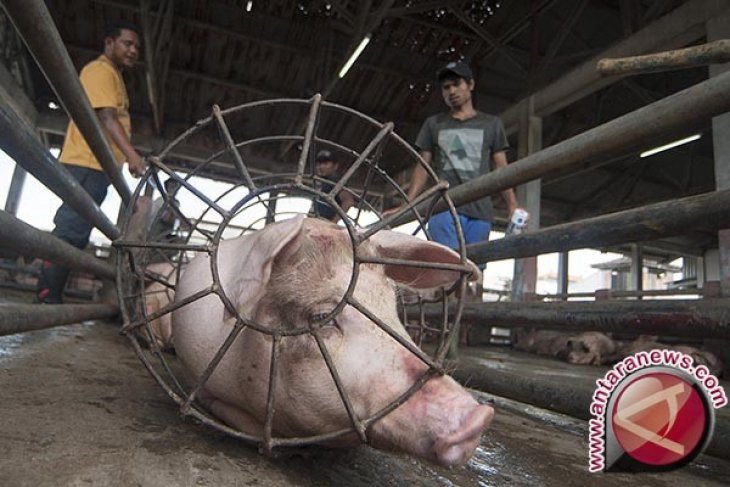 Pemkot Denpasar ajukan calon penerima Silpakara Nugraha