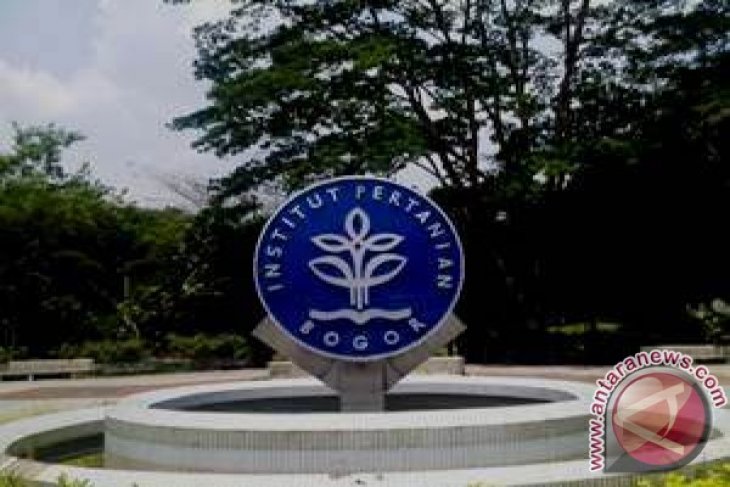 Mahasiswa IPB Cetak Marketing Handal melalui COMIC