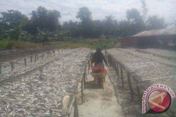 Harga Ikan Asin di Pangkalpinang Naik