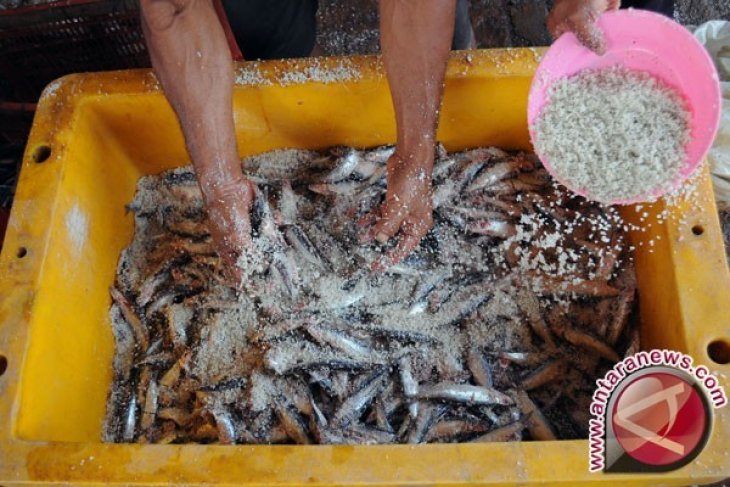 UMKM Ikan Asin di Kotabaru Terancam Tutup
