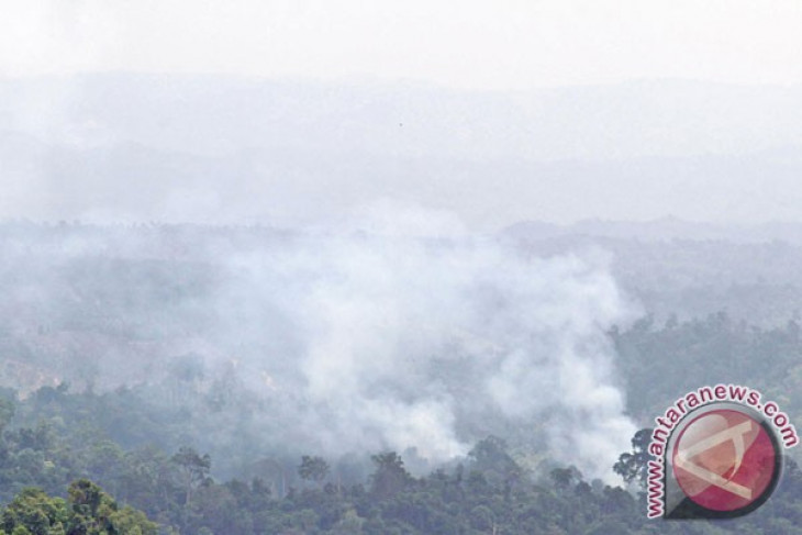 Deteksi satelit, di Aceh muncul 10 titik panas