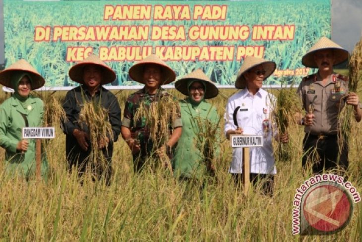 Pangdam Siap Mundur Jika Swasembada Pangan Gagal