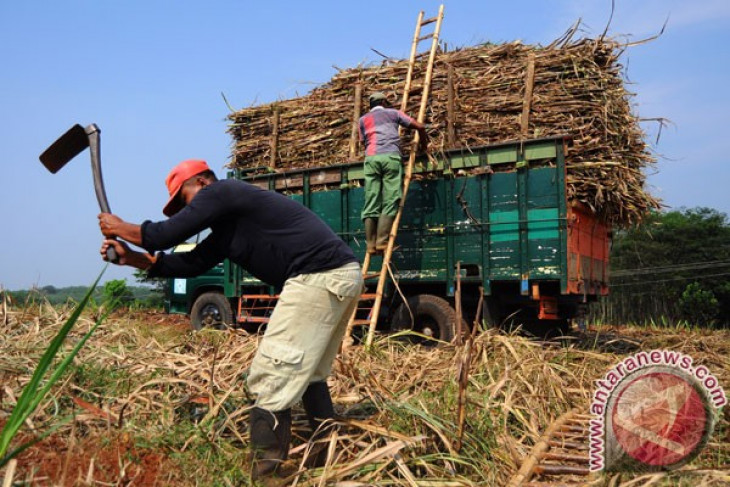 Kementerian BUMN dorong percepatan revitalisasi pabrik gula
