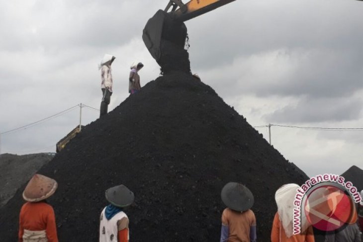 PLN: Batu bara berperan turunkan laba bersih