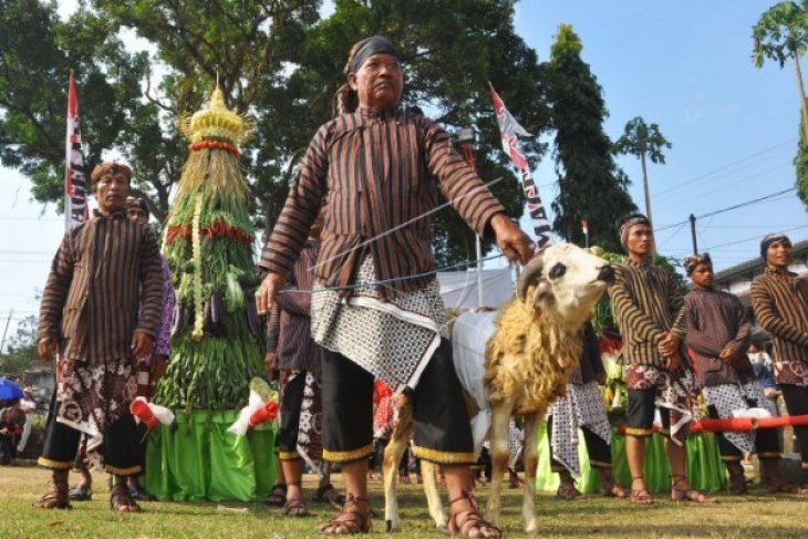 KIRAB GREBEG GULAI