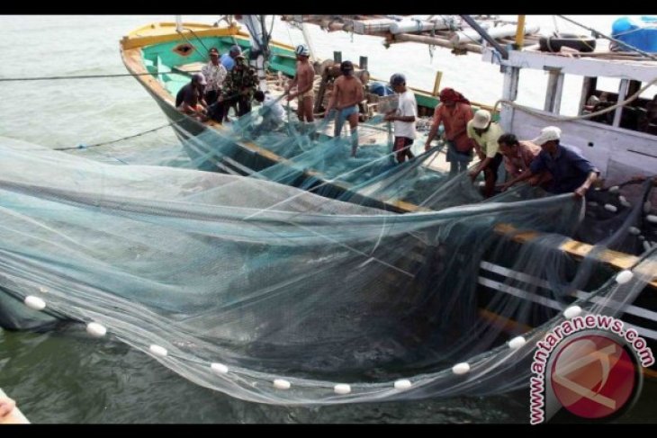 Pukat Harimau Masih Beroperasi Di Belawan