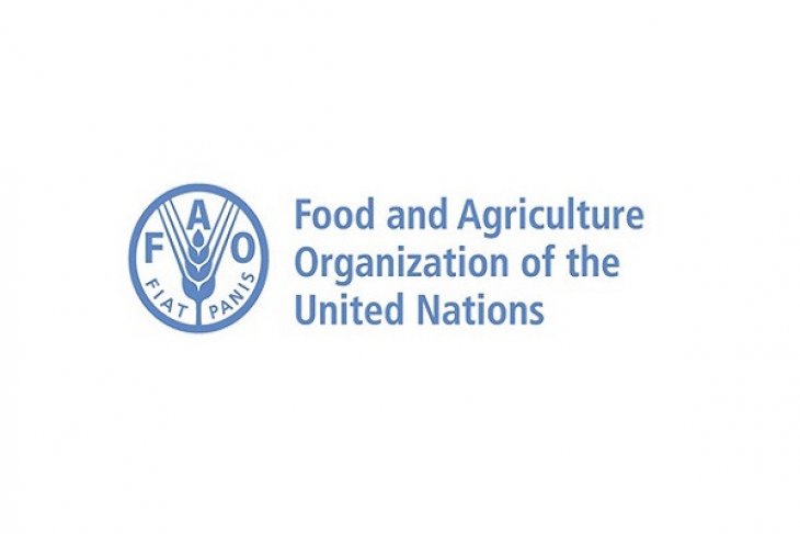 Indonesia, FAO collaborate to overcome diseases in chicken layer farms