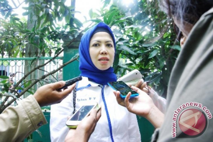 Pemerintah Diminta Dorong Start-up Lokal Untuk Berkembang