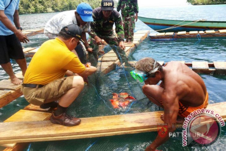 Humas Polda Maluku Huruf-huruf di tubuh ikan bukan hal luar biasa