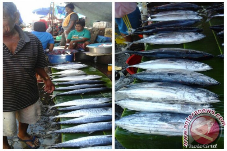 Budidaya perikanan di Ambon cukup penuhi kebutuhan pasar lokal