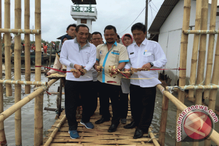 Jumlah wisatawan hutan mangrove Bekasi meningkat