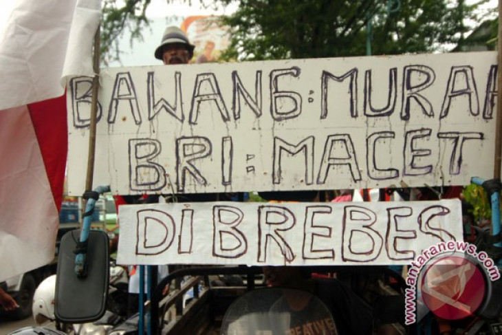 Petani unjuk rasa minta pemerintah stabilkan harga bawang merah