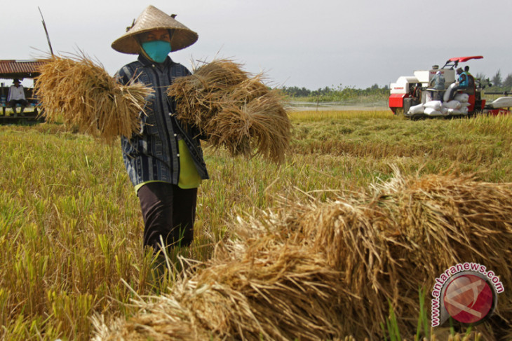 Farmers stage rally against planned rice imports