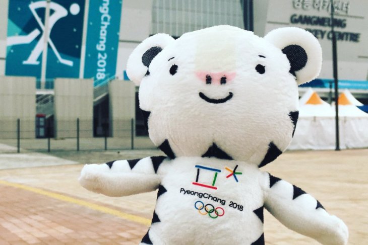 Bendera Unifikasi Korea berkibar di Olimpiade Pyeongchang