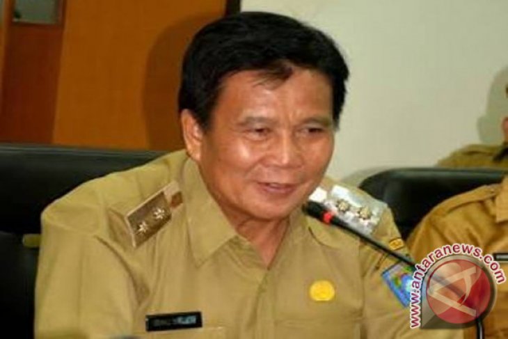 Pemkab Bangka Tengah lirik peluang pasarkan gaharu ke Arab Saudi