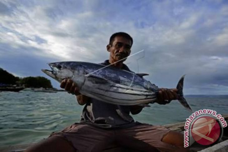 Pemkab diminta fasilitasi pendirian koperasi nelayan