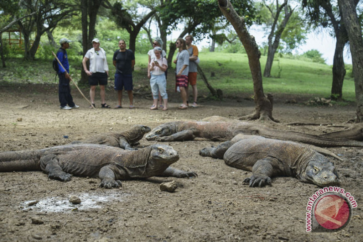 Ambassador promotes Komodo National Park to Singaporean investors