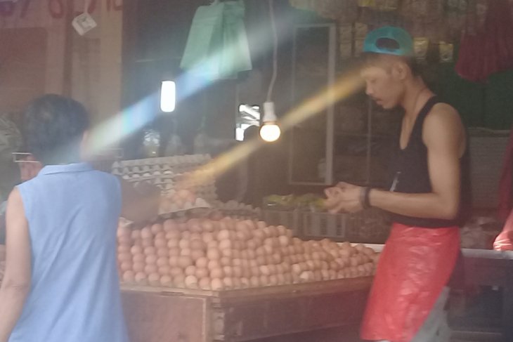 Harga telur ayam ras di Piru turun