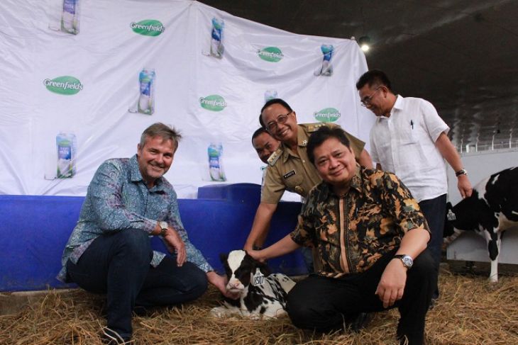 Menperin: pengembangan peternakan sapi kurangi impor