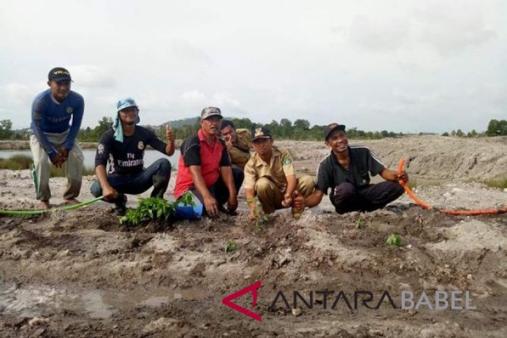 PT Timah unit Toboali akan lakukan reklamasi lahan bekas tambang