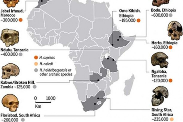 Homo sapiens awal tunjukkan kecanggihan tak terduga