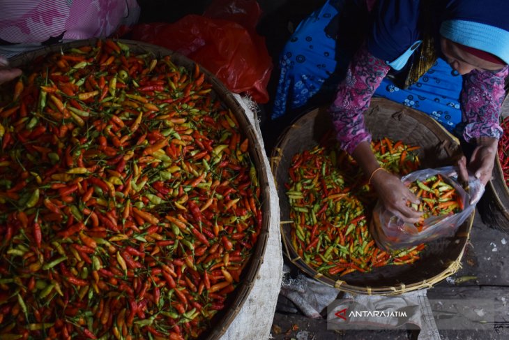 Petani sebut produksi turun saat hujan akibatkan harga cabai naik