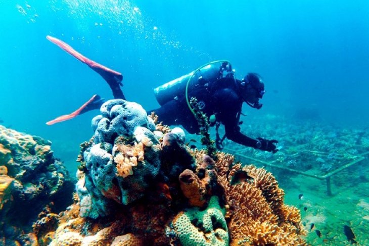 Gandrung Banyuwangi akan Ditampilkan di Dasar Laut