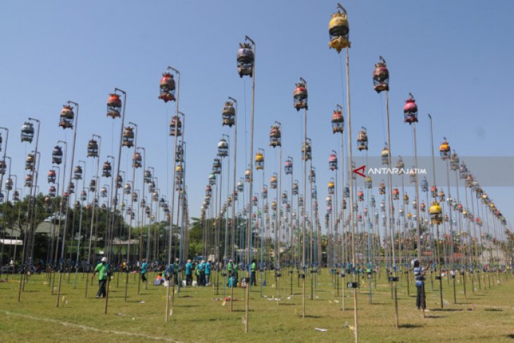 Lomba Suara Burung Perkutut