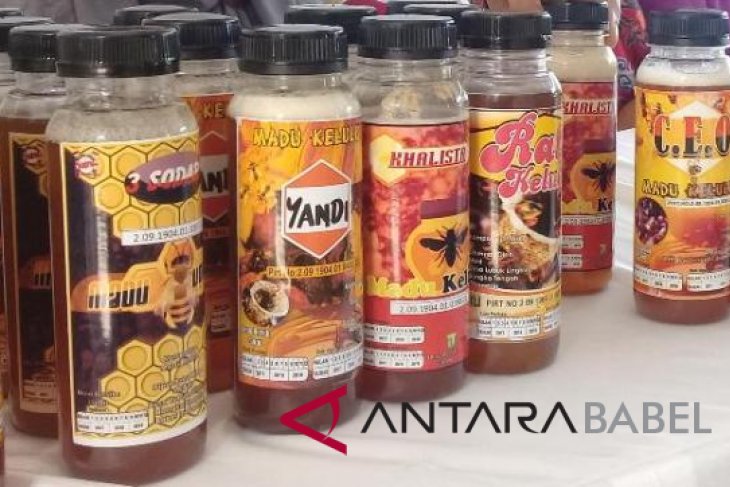 Mitra binaan Timah kembangkan madu keluluk