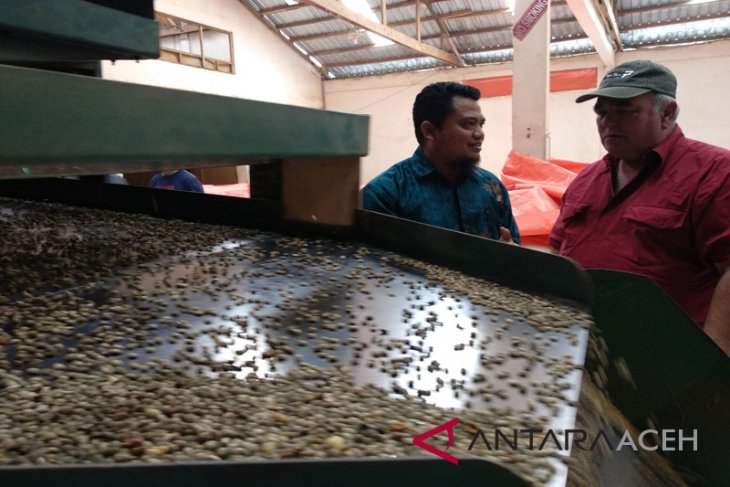 Permintaan ekspor kopi gayo menurun