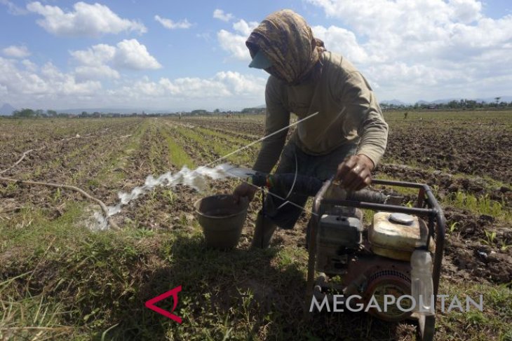 Mengantisipasi Dampak Kekeringan Saat Kemarau