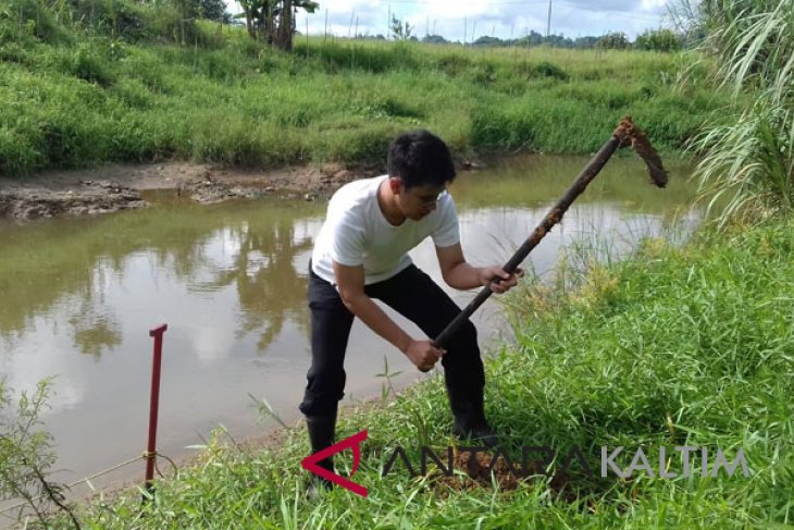 Jalur hijau sungai Karang Mumus ditanami pohon