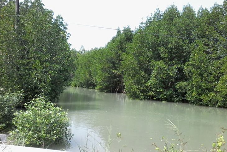 DPR: Perlu Inovasi Atasi Ketimpangan Antarwilayah Banten