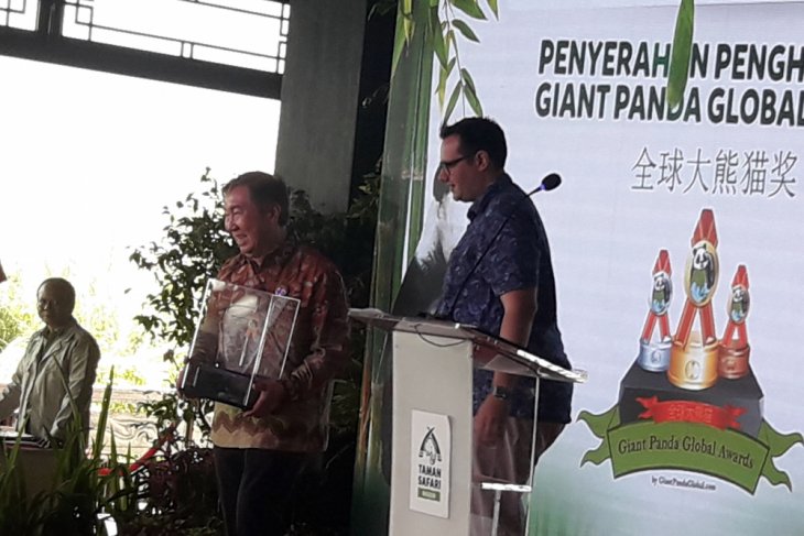 Panda jantan TSI Cisarua peroleh penghargaan terfavorit (Video)
