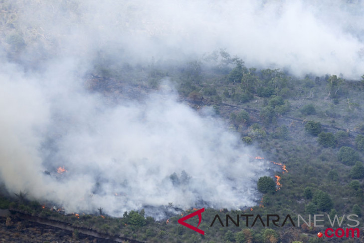 Environment Ministry struggles to make Asian Games free from smoke