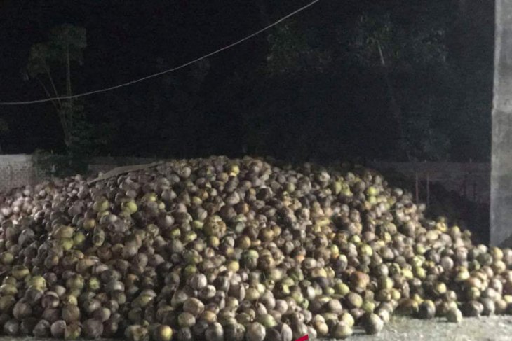 Perusda diminta realisasikan rencana tampung kopra petani